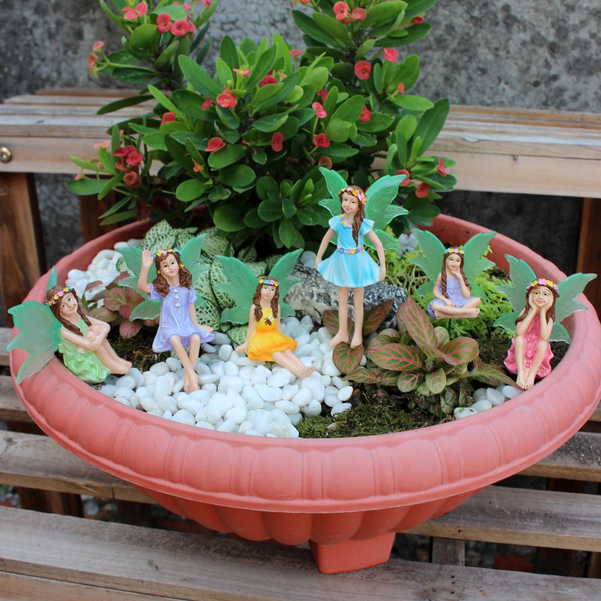 6pc Night Light Wings Flower F - Bonsai Garden World recension och pris