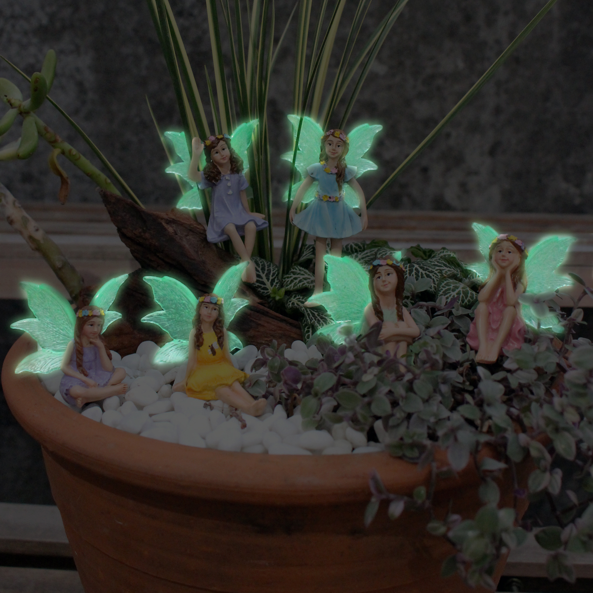 6pc Night Light Wings Flower F - Bonsai Garden World recension och pris