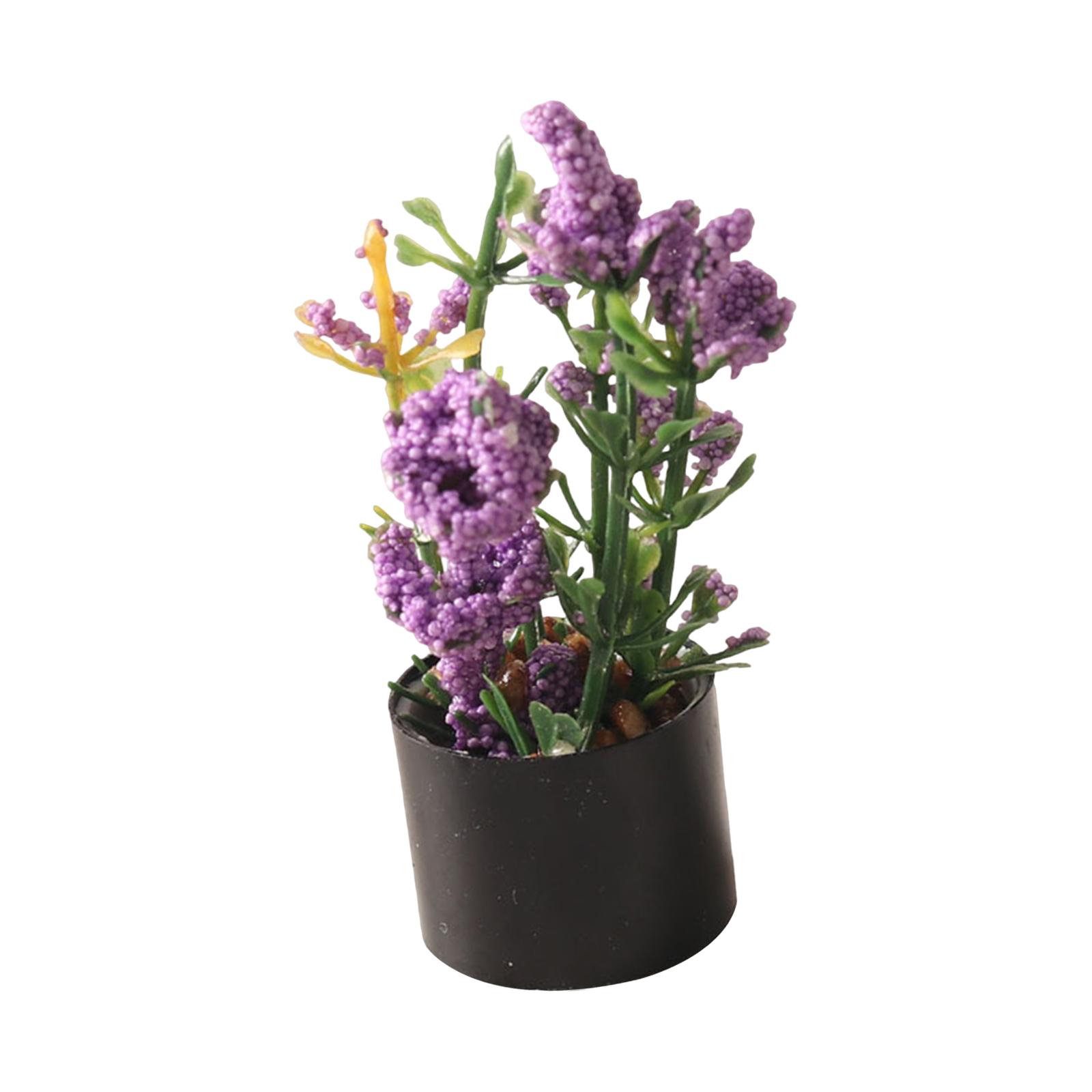 1/12 Miniature Flower Bonsai O - Bonsai Garden Photos recension och pris