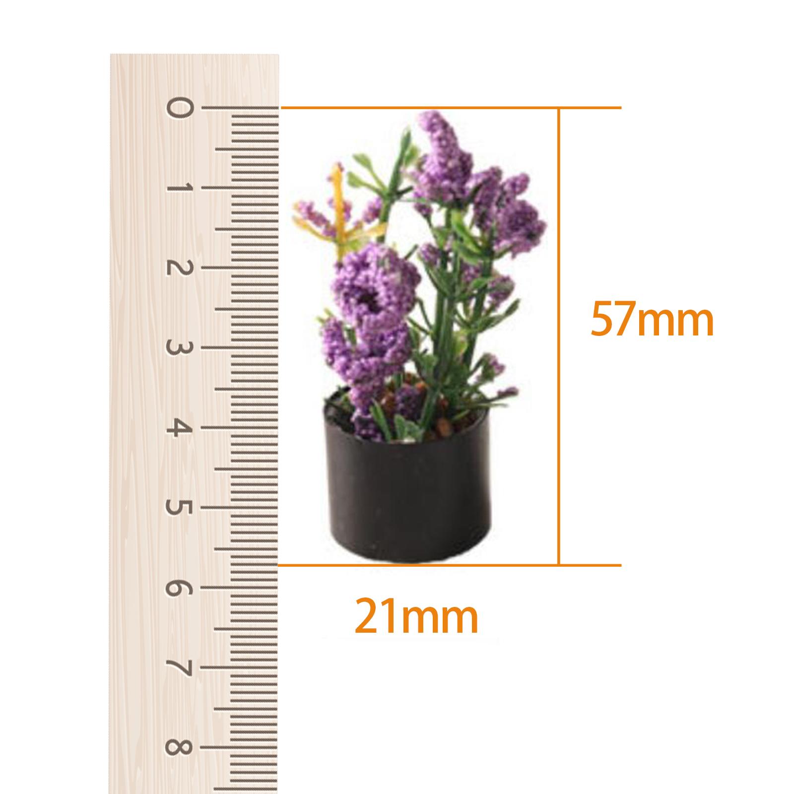 1/12 Miniature Flower Bonsai O - Bonsai Garden Photos recension och pris
