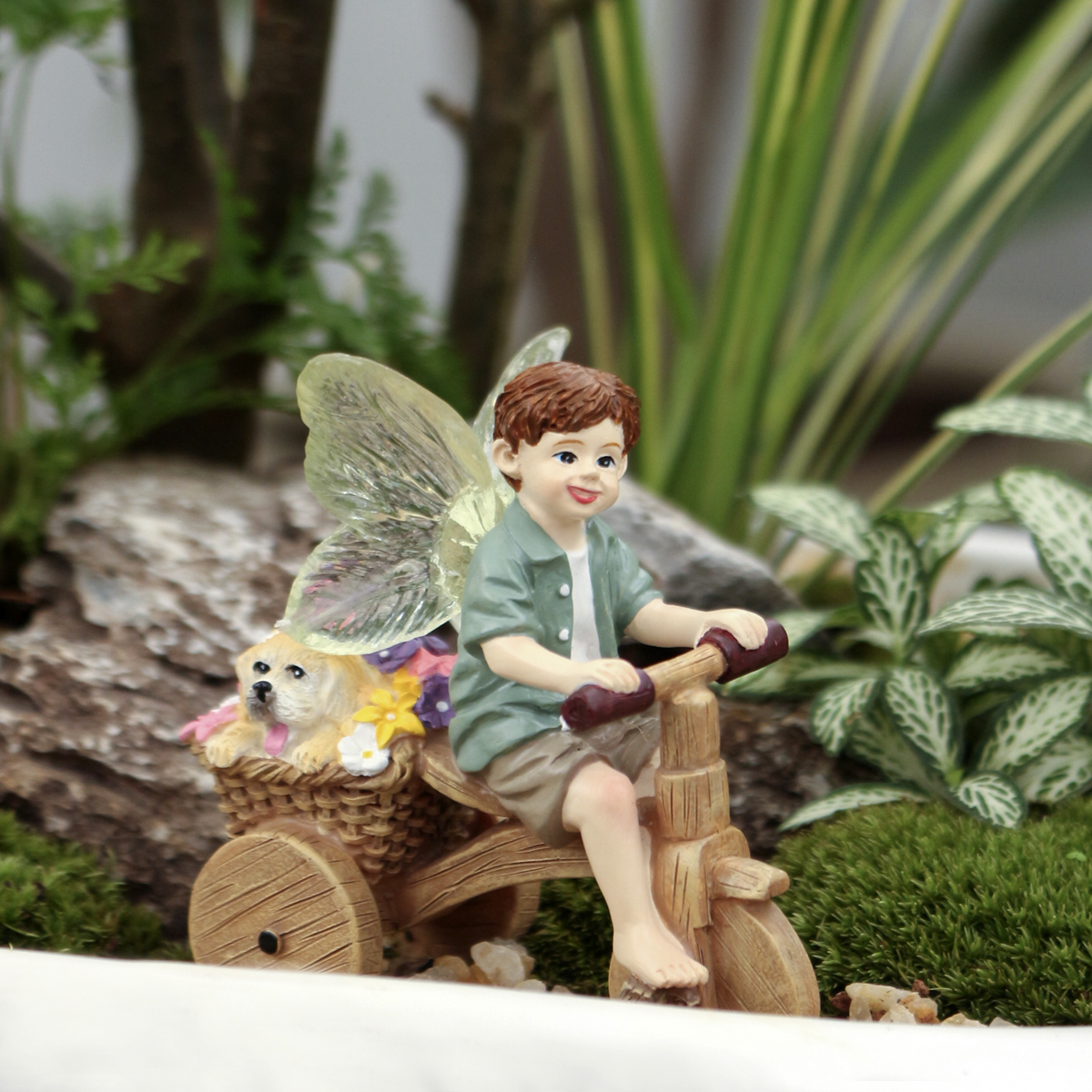 1 piece of transparent winged  - Bonsai Garden World recension och pris