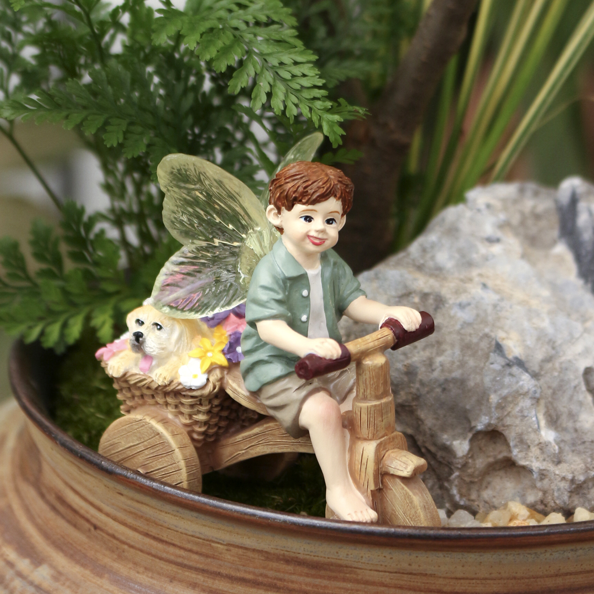 1 piece of transparent winged  - Bonsai Garden World recension och pris