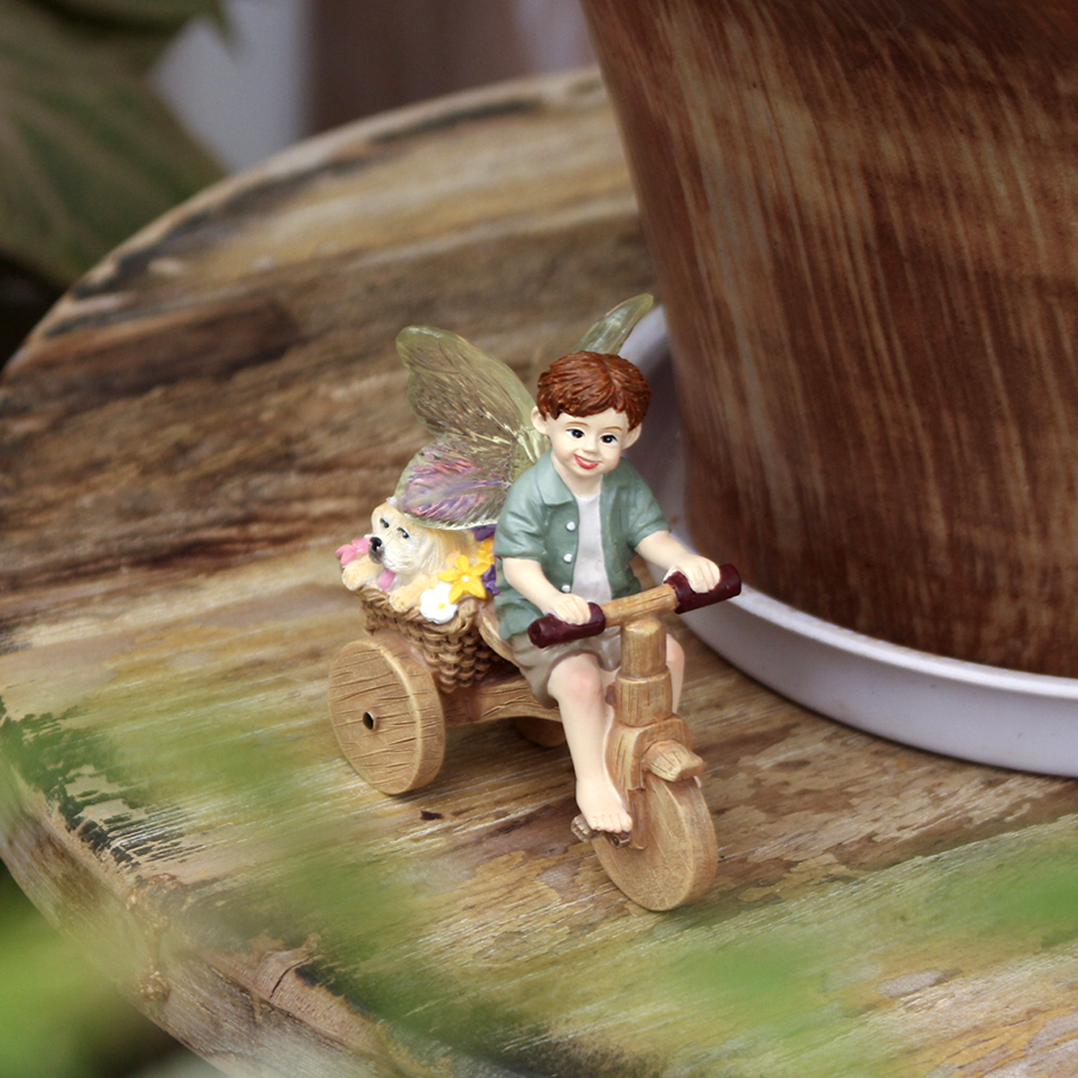 1 piece of transparent winged  - Bonsai Garden World recension och pris