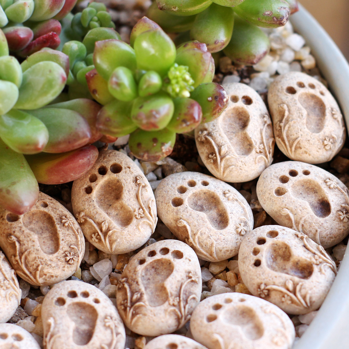 20 Pieces of Garden Footprint  - Bonsai Garden World recension och pris