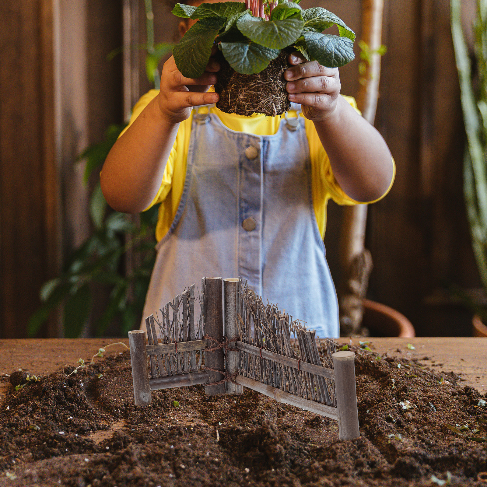 Delicate Bamboo Fence Ornament - Bonsai Garden Photos recension och pris