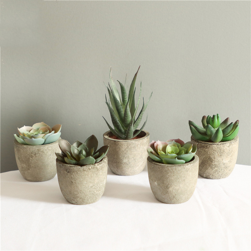 Mini Artificial Aloe Plants Bo - Bonsai Garden Table recension och pris