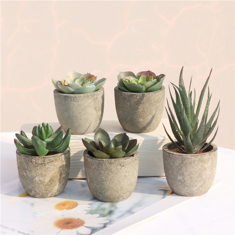 Mini Artificial Aloe Plants Bo - Bonsai Garden Table recension och pris