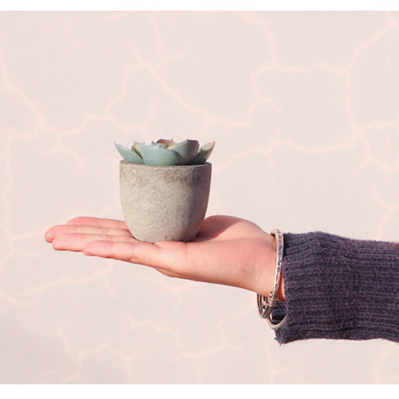 Mini Artificial Aloe Plants Bo - Bonsai Garden Table recension och pris