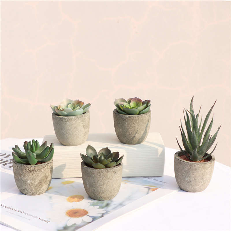 Mini Artificial Aloe Plants Bo - Bonsai Garden Table recension och pris
