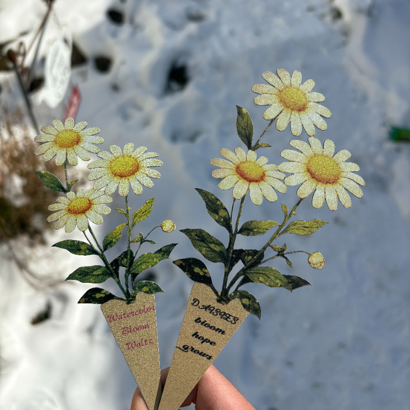 JUSTINLAU Daisy Bonsai Gardeni - Bonsai Garden Photos recension och pris