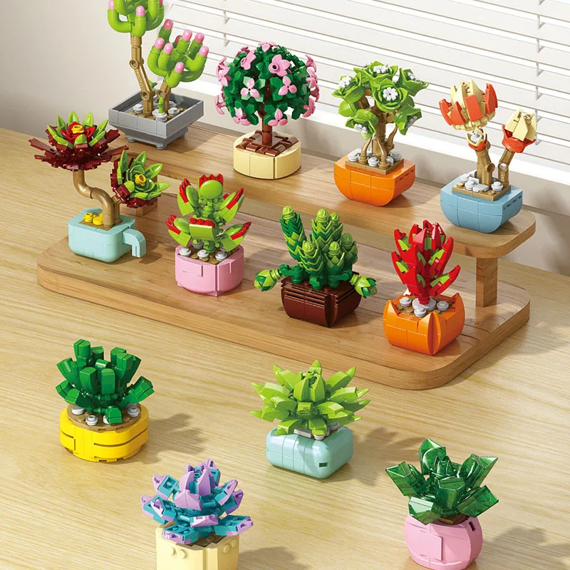 Flowers Succulents Building Bl - Bonsai Garden World recension och pris